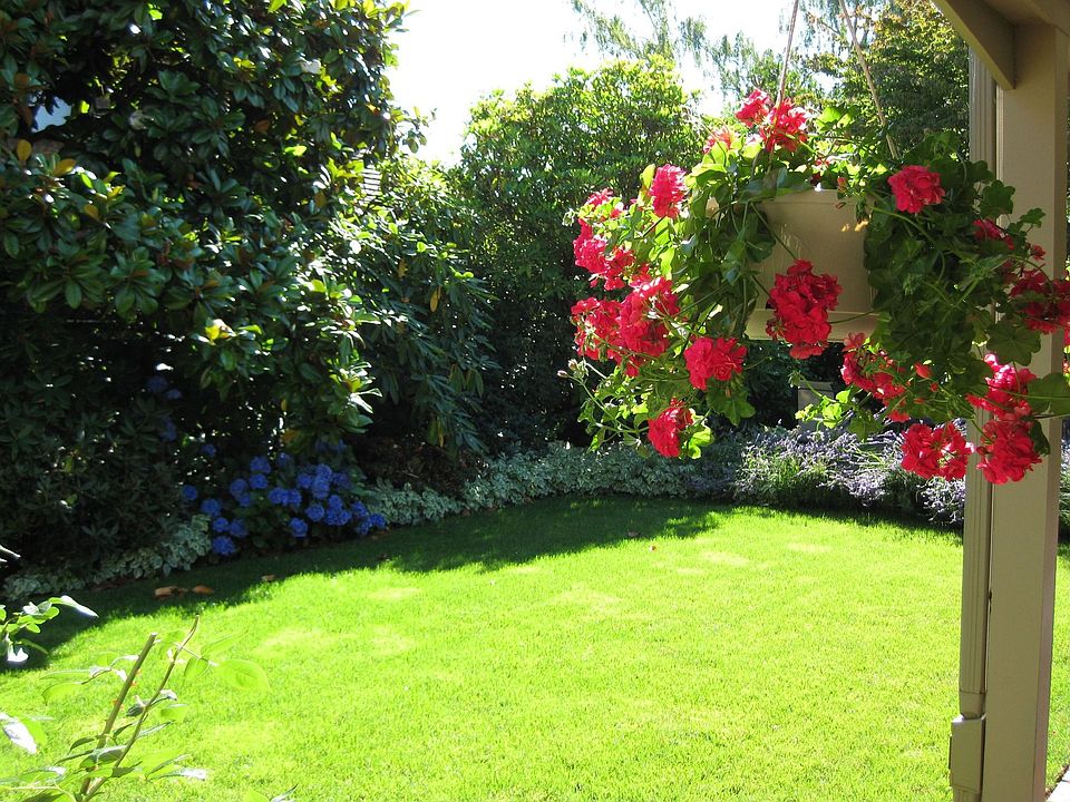 Front yard