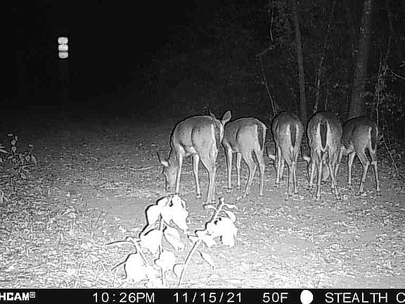 5th image of 850 Providence Road
