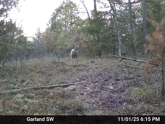 2nd image of 0 Old Dolph Rd