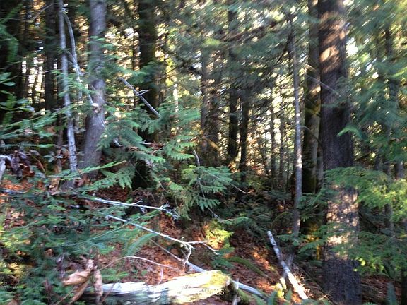 4th image of 0 NSN Trail Head Loop