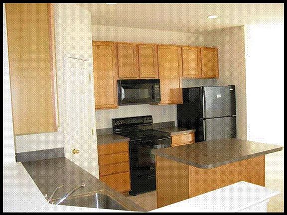 Contemporary Kitchen