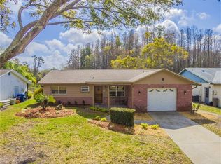 8318 Fishhawk Ave, New Port Richey, FL 34653