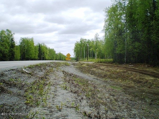 2nd image of 40878 S Parks Hwy