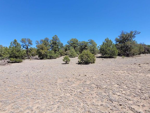 4th image of 16 Navajo Way