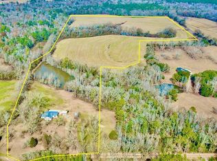 770 Hughes Rd, Slocomb, AL 36375