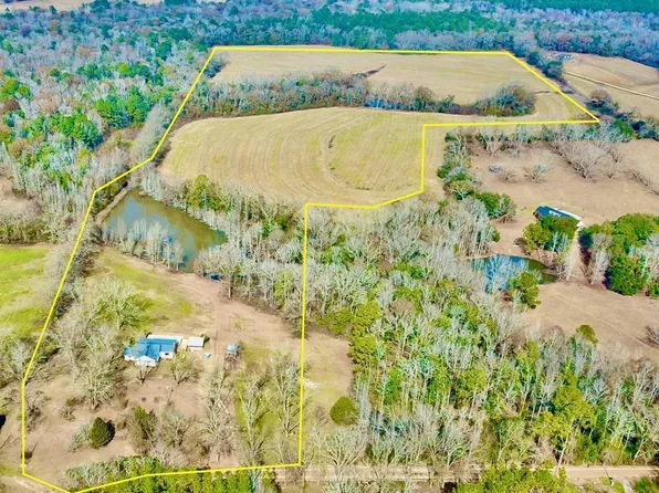 770 Hughes Rd, Slocomb, AL 36375