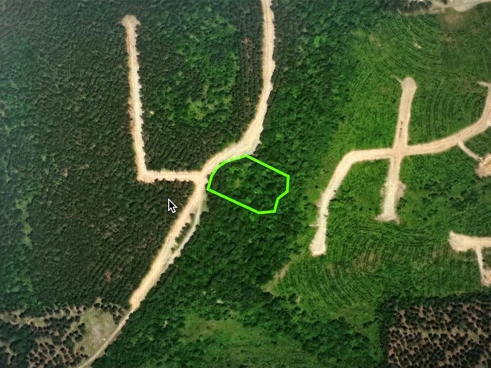 2nd image of 268 Green Olive Trl #246