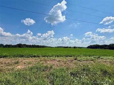 0 Judge Logue Rd, Newton, AL, 36352