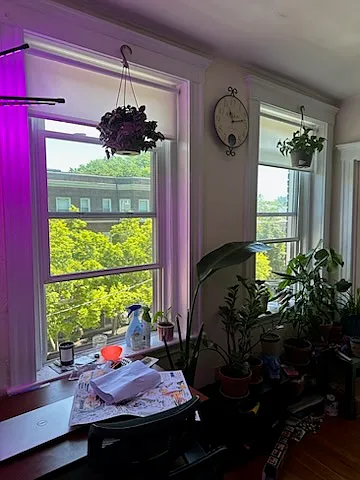 100 Brainerd Rd #9 — Photo 5