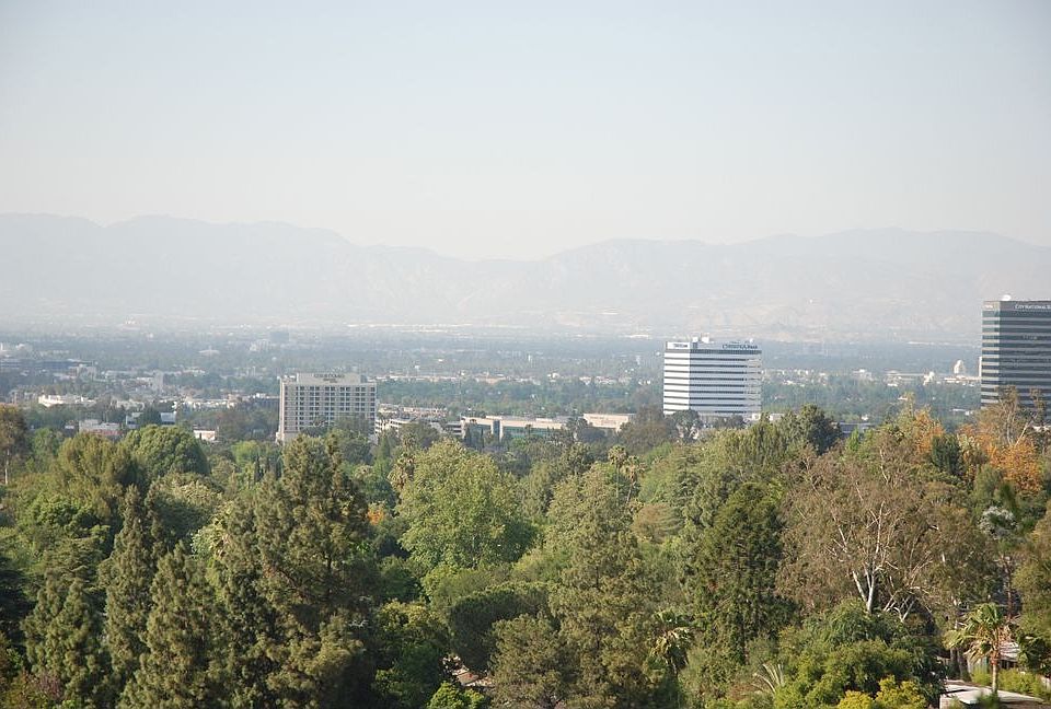 View From Family Room and Living Room