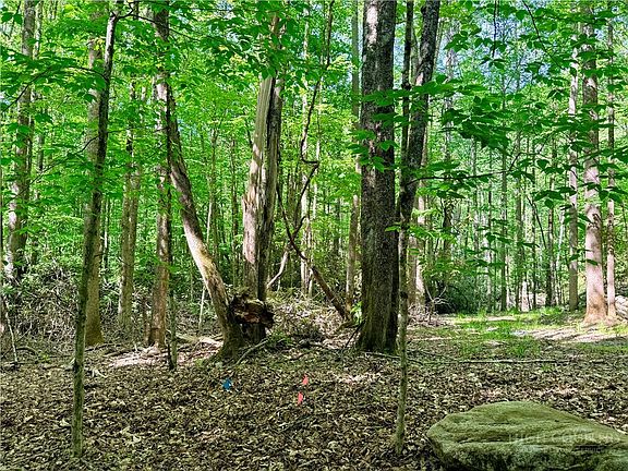5th image of Lot 5A Buckeye Ridge Road