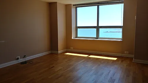474 N Lake Shore Dr #3810 Photo 1
