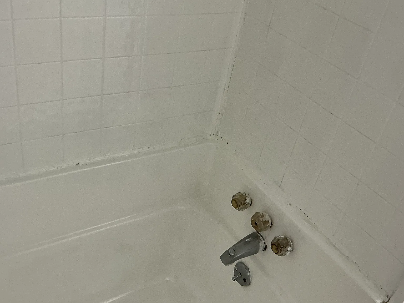 2 bed, 1.0 bath, 975 sqft, $1,400 — Photo 4