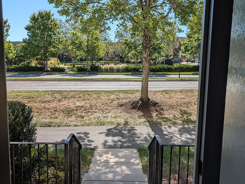 View from Front Door