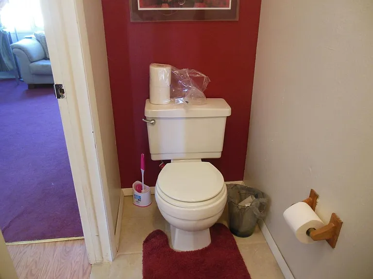 toilet downstairs