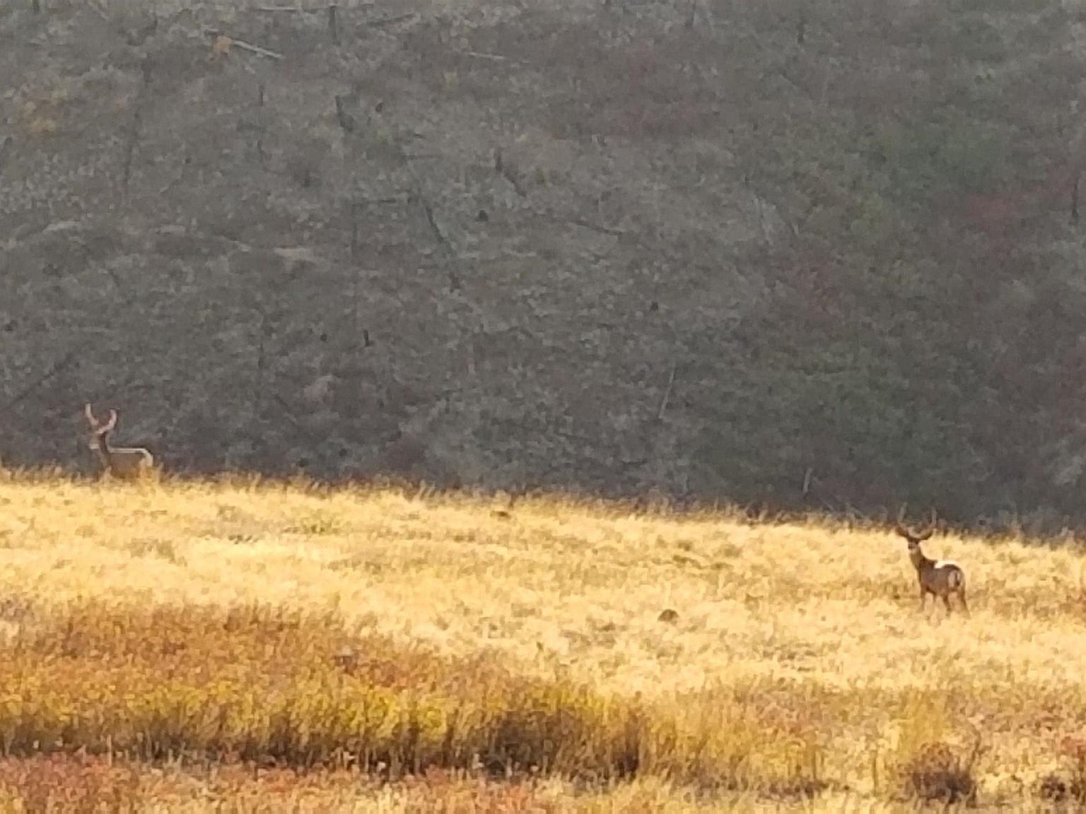 Pataha St, Pomeroy, WA 99347 Zillow