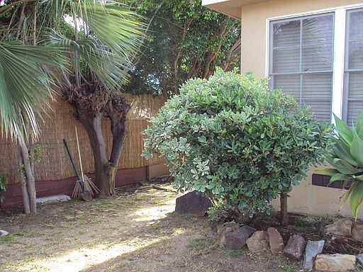4th image of 681 Bollenbacher St