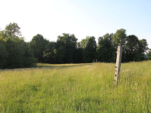 Yard or pasture