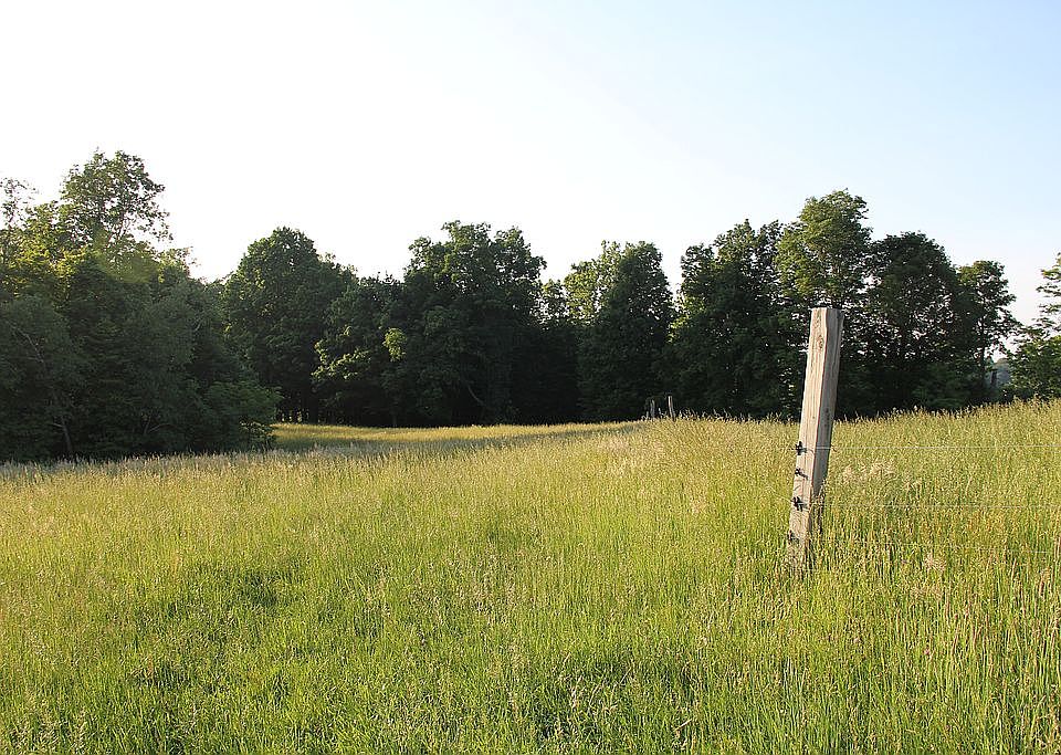 Yard or pasture