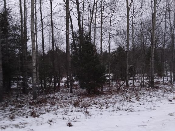 2nd image of Willoway Dr
