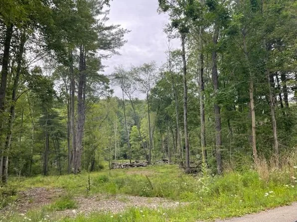 0 Hazeltine Hollow Rd, Sugar Grove, PA 16350