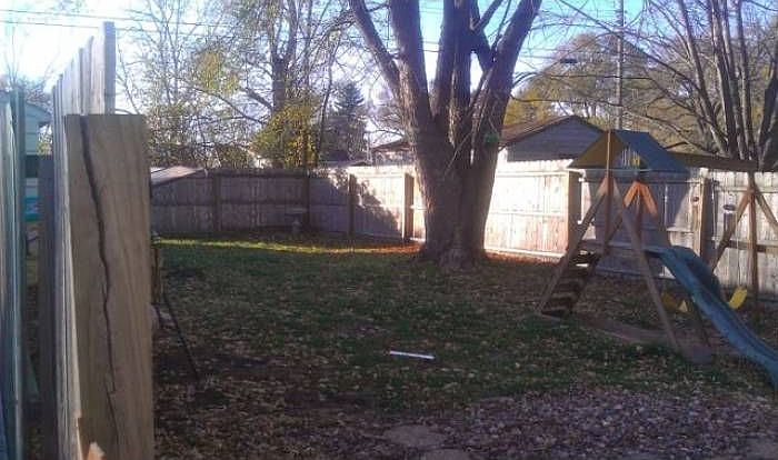 backyard
