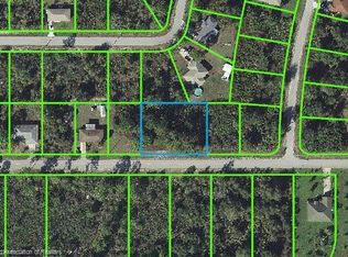 598 Lincoln Rd NE, Lake Placid, FL 33852