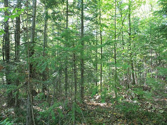 2nd image of LOT 16 Alpine Dr