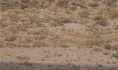 1st image of 0 Highway 6