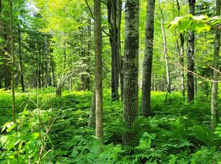 Xx162 County Rd #962, Orr, MN 55771