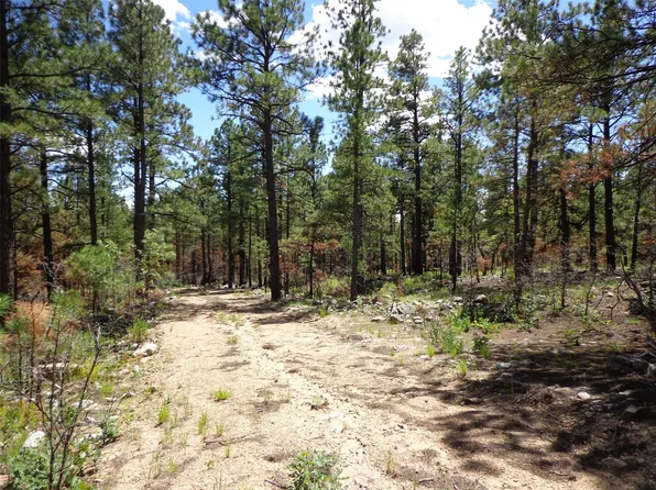 Behind 1161 Nm 434 Hwy, Guadalupita, NM 87722