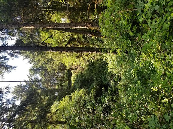 3rd image of Lot 300 Beverly
