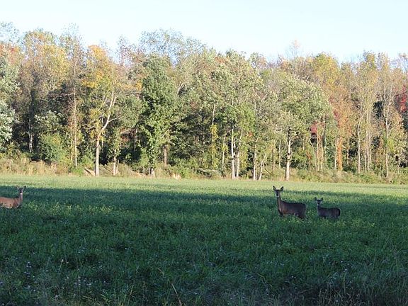 3rd image of 13911 Drake Island Road Ext