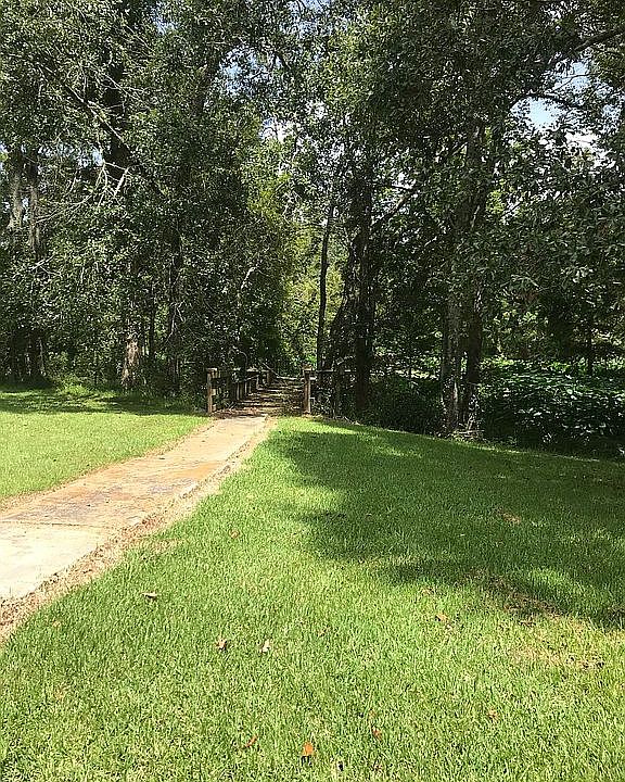 Backyard view to bayou.