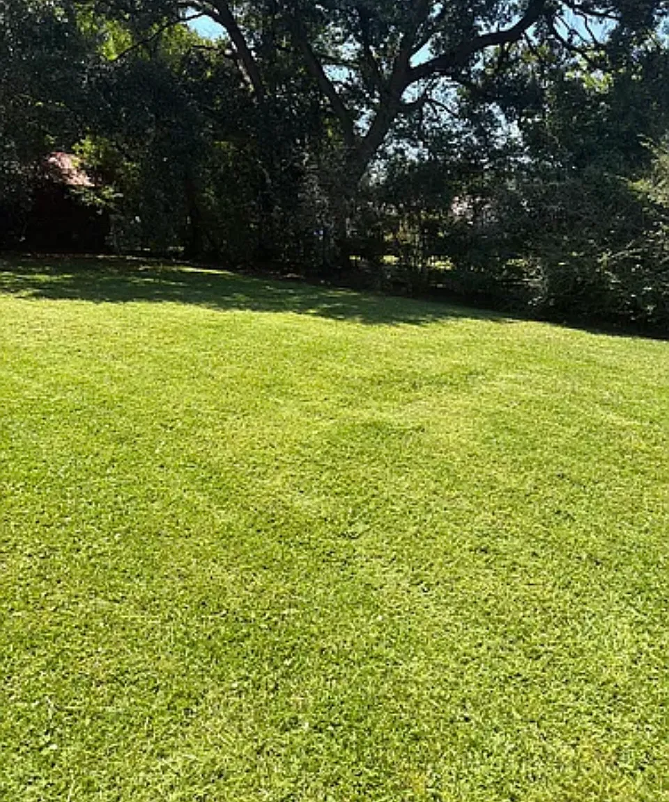 4 bed, 2800 sqft, $2,700 — Photo 2
