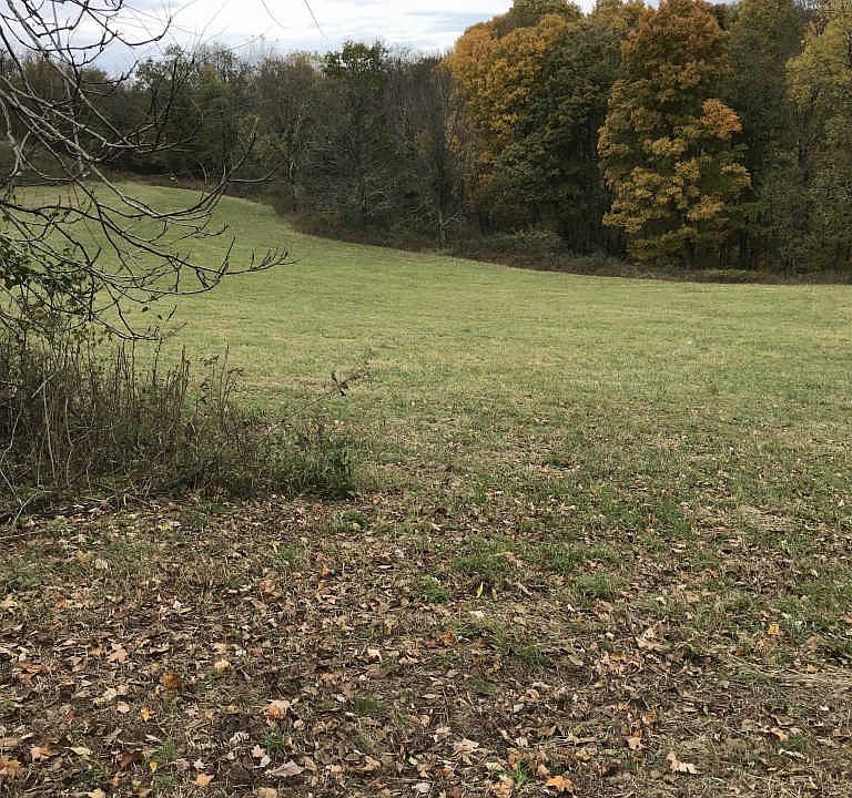 2nd image of 1907 Burke Hollow Rd