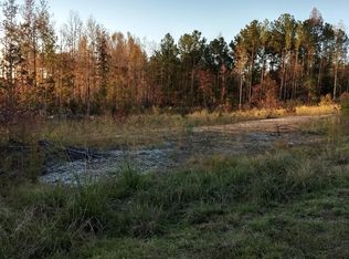 0 Beasley Rd, Roberta, GA 31078