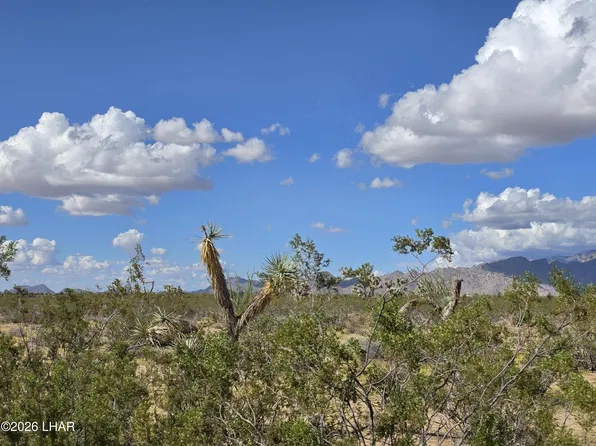 243-10-020 Alamo Rd, Yucca, AZ 86438