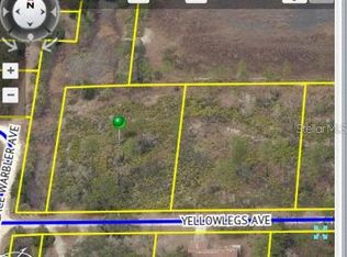 Yellowlegs Ave, Weeki wachee, FL 34614