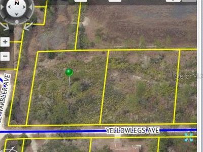 Yellowlegs Ave, Weeki wachee, FL, 34614
