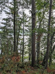 Birch Run Ln SE, Bemidji, MN, 56601