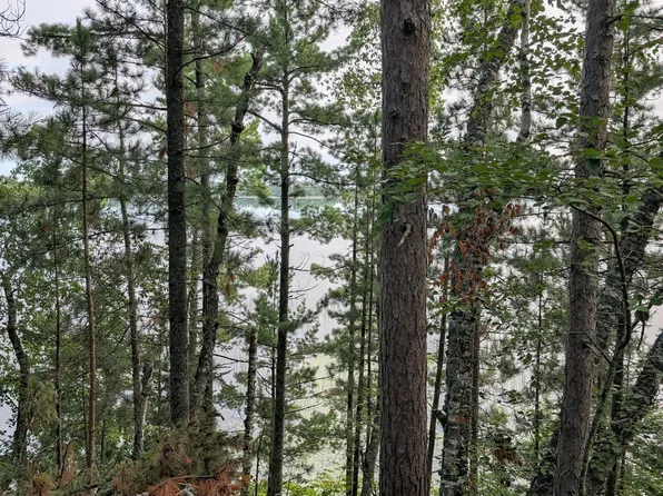 Birch Run Ln SE, Bemidji, MN 56601