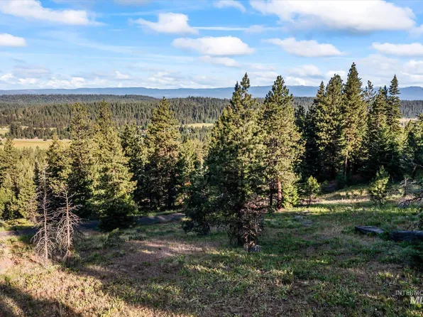 LOT 15 Harrington Pl, McCall, ID 83638
