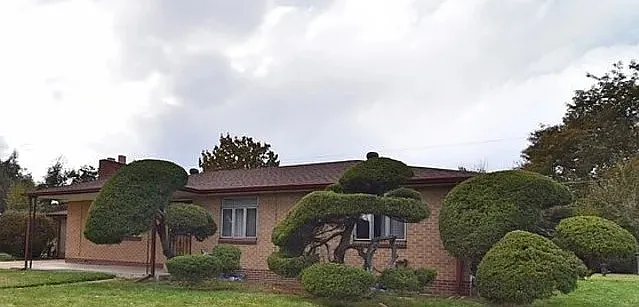 2985 Reed St — Photo 27