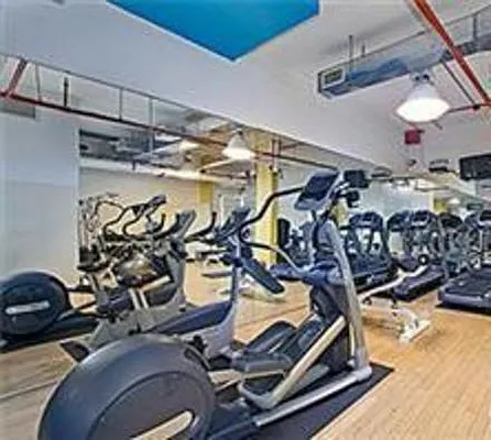 Rented by Douglas Elliman | media 11
