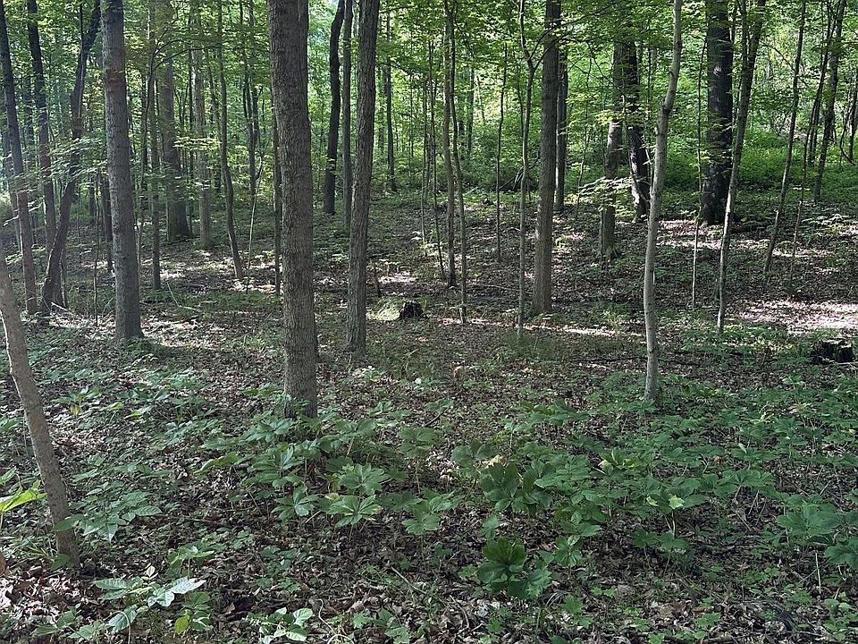 2nd image of Cameron Rd