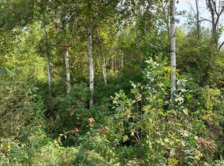 Nka S Huron Rd, Standish, MI 48658