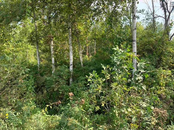 Nka S Huron Rd, Standish, MI 48658