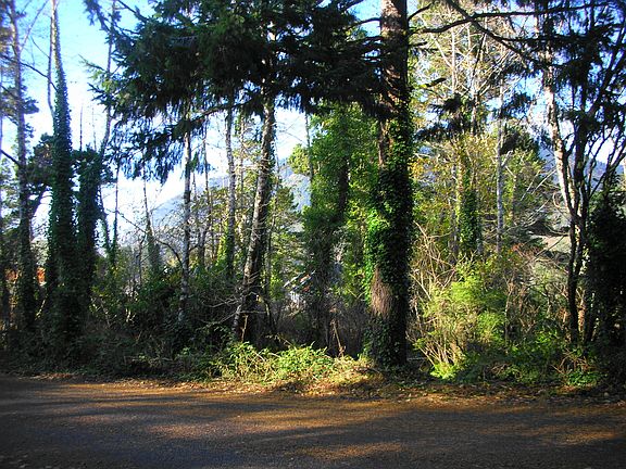 2nd image of College Avenue