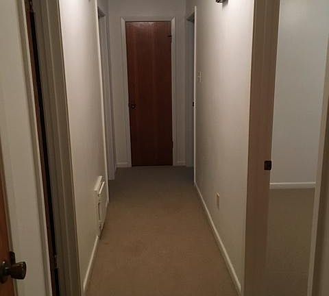 5th image of 1215 Haley Pl